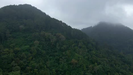 Vista-Aérea-De-La-Selva-Tropical-En-La-Ladera-De-La-Mañana-Brumosa