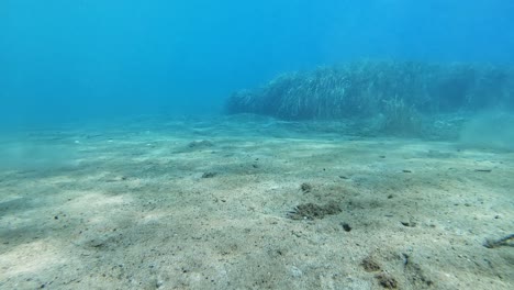 Tauchen-Unter-Dem-Ionischen-Meer-Auf-Der-Insel-Kefalonia,-Griechenland