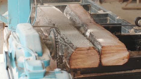 primer plano de un tronco de pino cortado en una máquina de aserrar en una fábrica de producción de madera. procesamiento y corte de material de madera en un aserradero. proceso de fabricación en un aserrador de madera. aserrar maderas en una máquina eléctrica