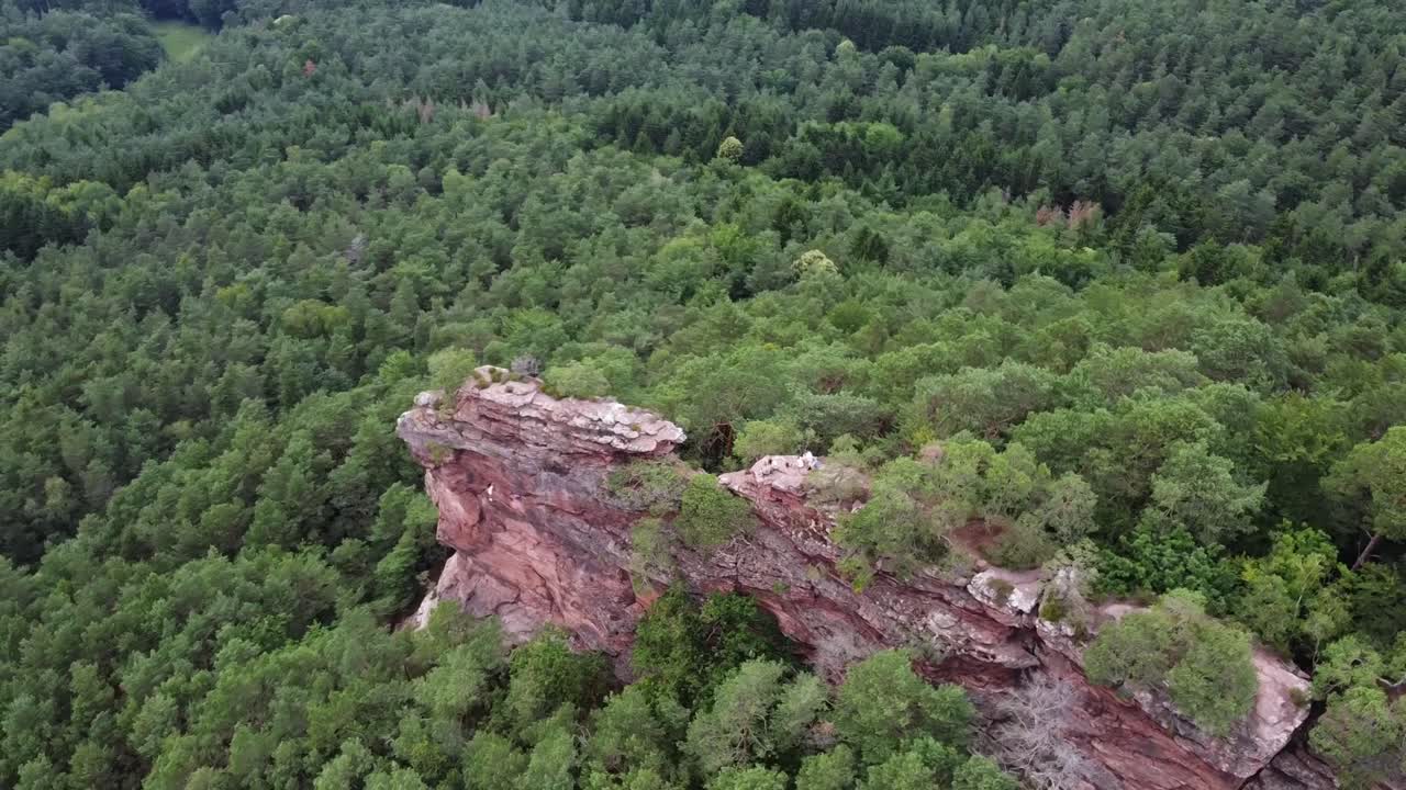 roca roja hundida en el bosque