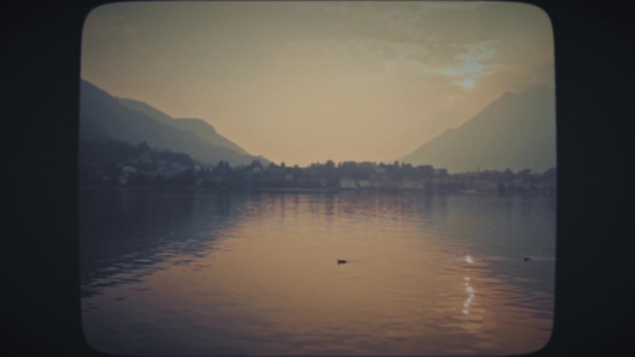 Anatre che nuotano in un lago al tramonto