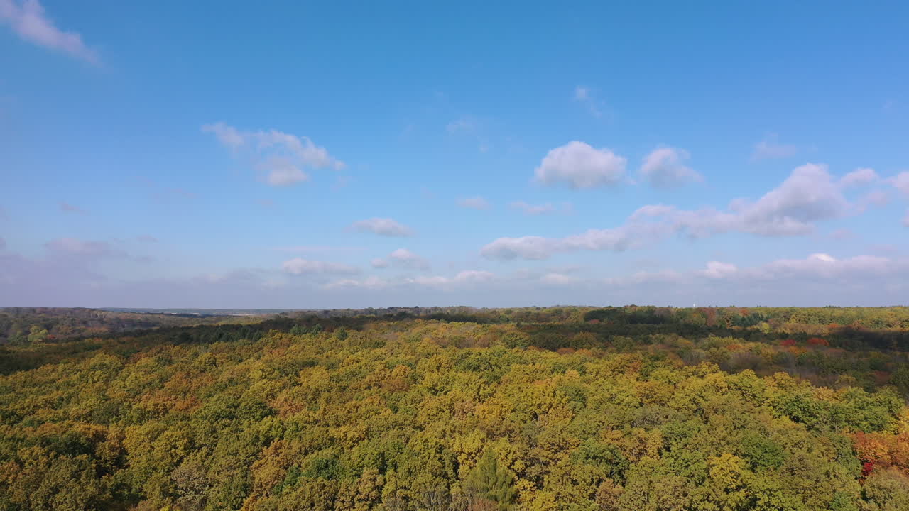 Fantastic scenery over the woodlands on sunny day. Thick forest with colorful leaves in autumn season. Aerial persrective.