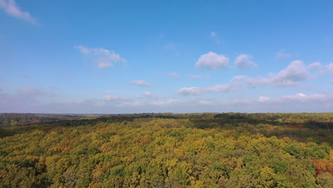 Fantastic scenery over the woodlands on sunny day. Thick forest with colorful leaves in autumn season. Aerial persrective.