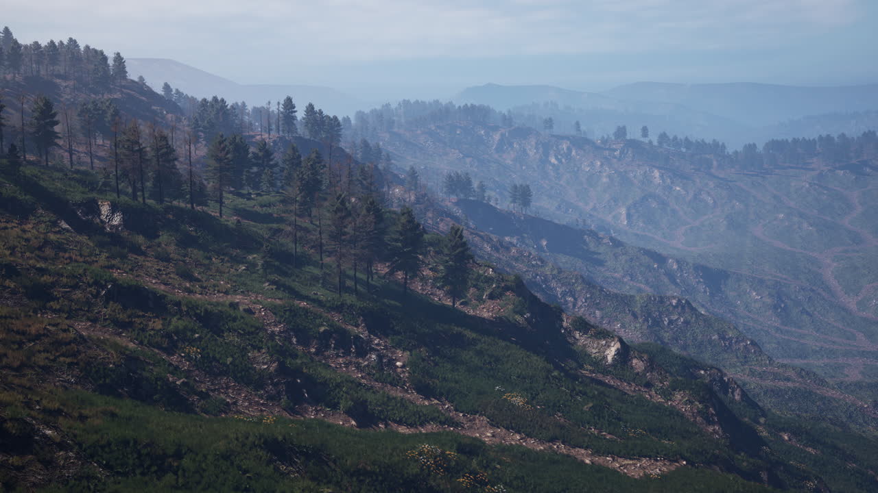 las montañas de las tatras cubiertas de bosques de pinos verdes