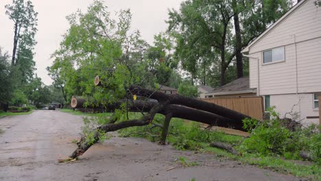 Árboles-Y-Escombros-Bloquean-Parcialmente-La-Carretera-En-El-Vecindario-Después-De-Que-El-Huracán-Beryl-Azotara-Houston,-Texas.