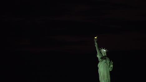 statue of liberty with black night sky