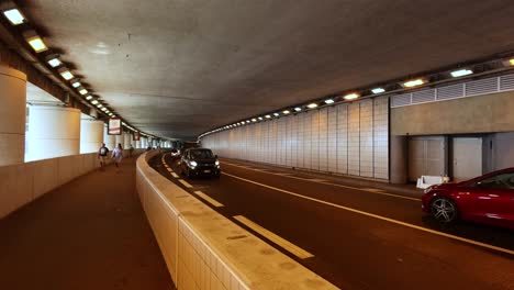 vehicles and pedestrians in monte carlo tunnel