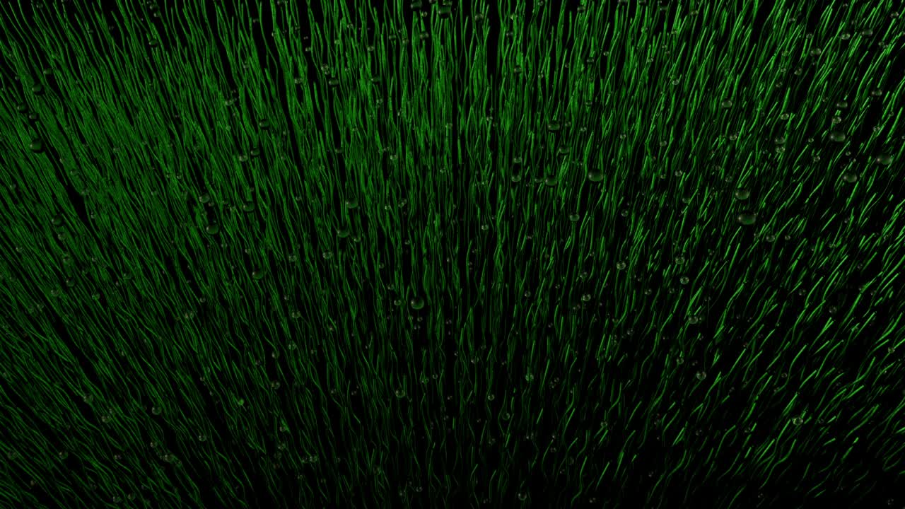 капли воды падают на поле зеленой травы с органическим движением на черном фоне. 3d-анимация
