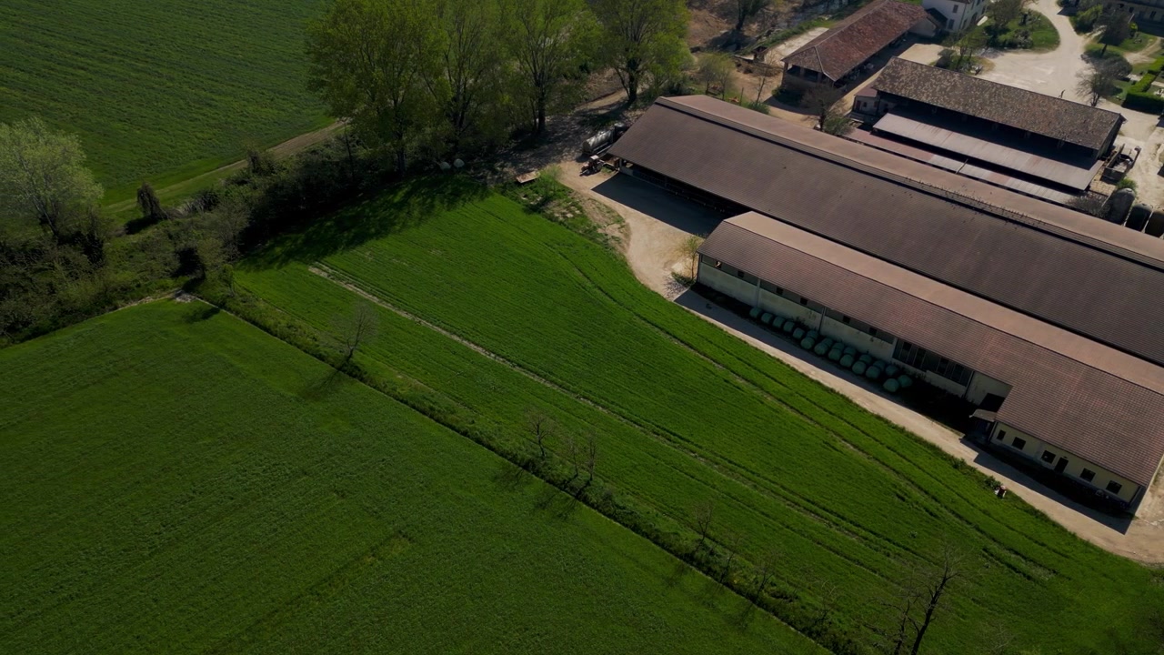 Droneoptagelse af en kvægfarm i Norditalien, Lombardiet. Scenen viser kvægfaciliteter og landbrugsjord forbundet med fødevareforsyning og landbrugsproduktion.