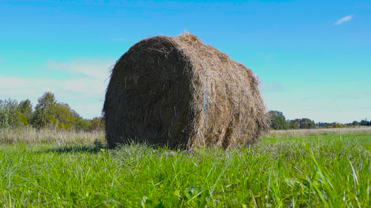 Hay Bale in a Field