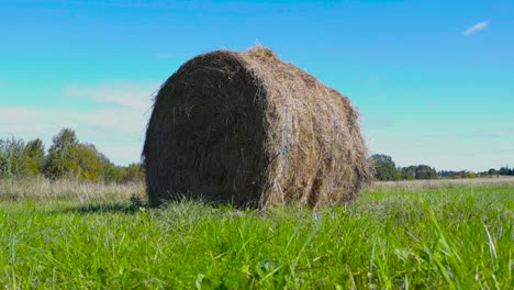 hay bale in a field