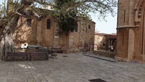 medieval cathedral of st nicholas (lala mustafa pasha mosque), cyprus