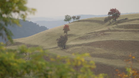 Stunning-focus-pull-to-Romanian-landscape