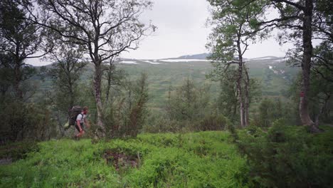 Turista-Y-Su-Perro-Caminando-En-El-Bosque-Cerca-Del-Lago-Trekanten-En-Noruega,-Trollheimen