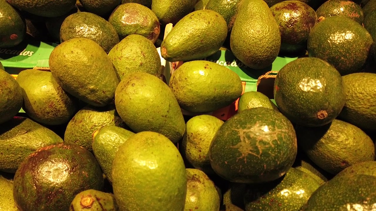 Abacates frescos e maduros na loja