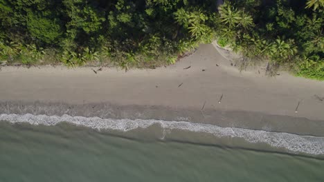 Gente-Paseando-Por-La-Orilla-Arenosa-De-La-Playa-De-Cuatro-Millas,-Port-Douglas,-Extremo-Norte-De-Qld,-Australia