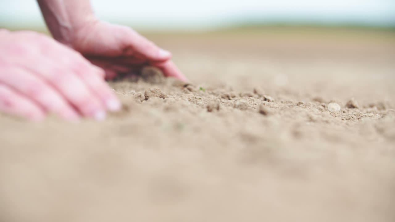 손에 흙을 들고 농업 배경 농부