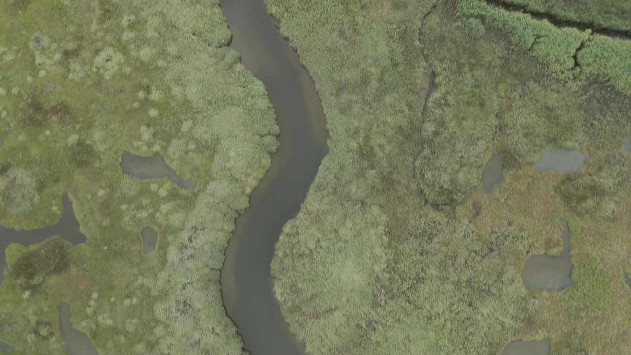 líneas guías de simetría de la reserva de aves de la república de irlanda