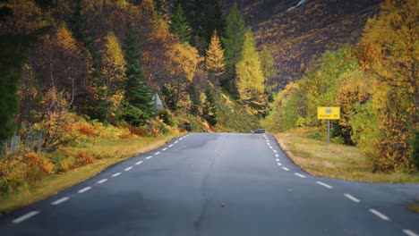 a narrow asphalt road winds through the norwegian autumn landscape parallax shot, bokeh background