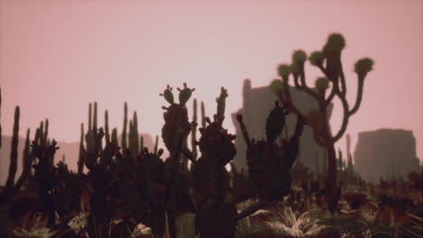 rayo de luz solar disparando a través del cielo del desierto al atardecer