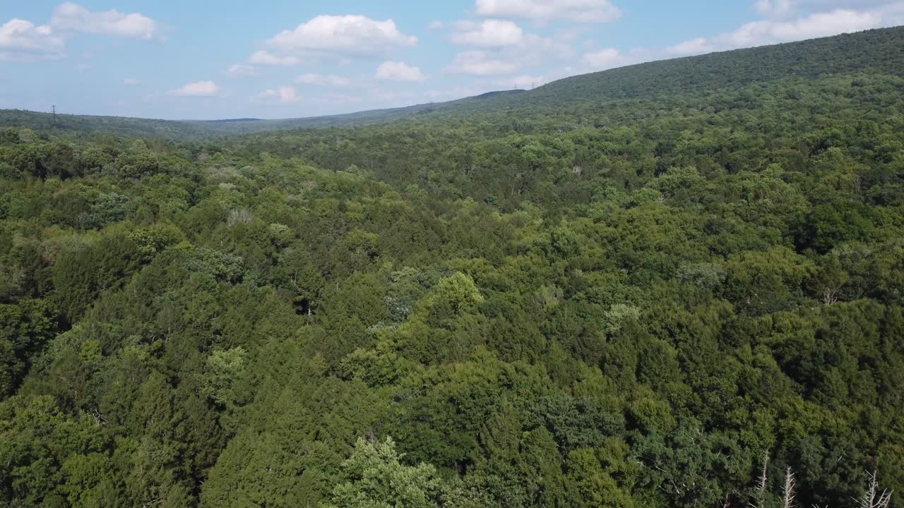 volando sobre un bosque lleno de arboles