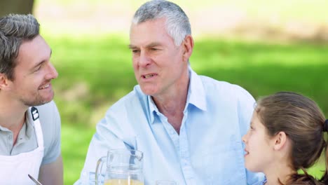 family talking together at picnic table in the park