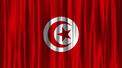 tunisian national flag (loopable)