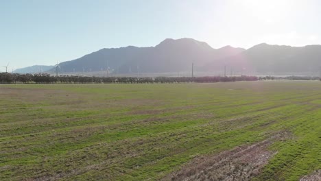 General-view-of-wind-turbines-in-countryside-landscape-with-cloudless-sky