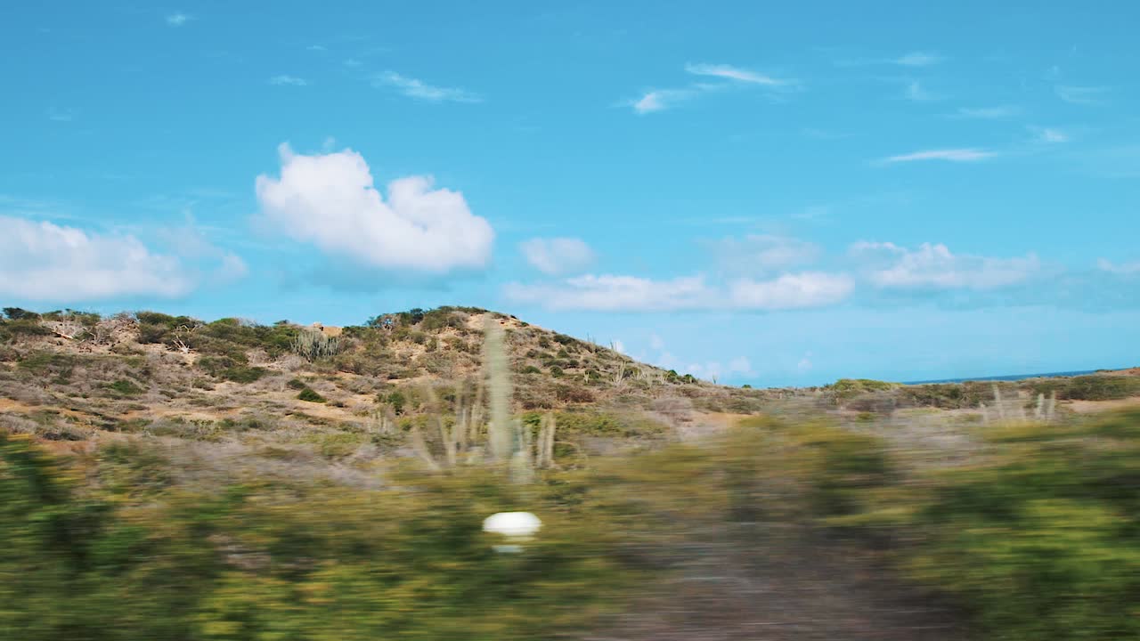 curacao - paisaje de mano de plantas y bosques bajo el cielo azul filmado desde el coche - plano panorámico