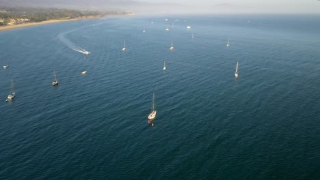 aerial view of sailboats sailing in the calm blue waters at daytime