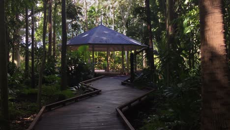 Tranquil-gazebo-on-a-rainforest-walk-boardwalk,-in-Queensland-Australia