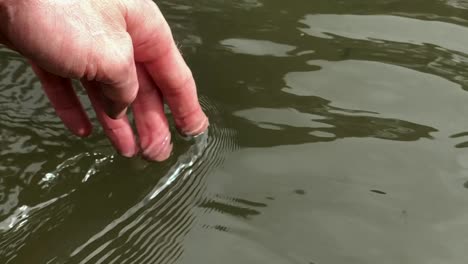 close up of hand touching water in the green forest river or lake