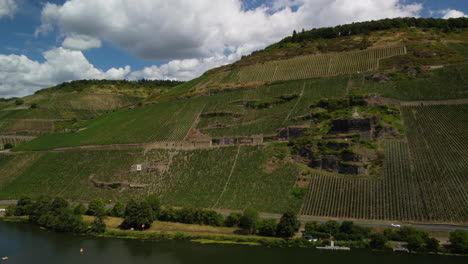 climb over a vineyard and lake moselle