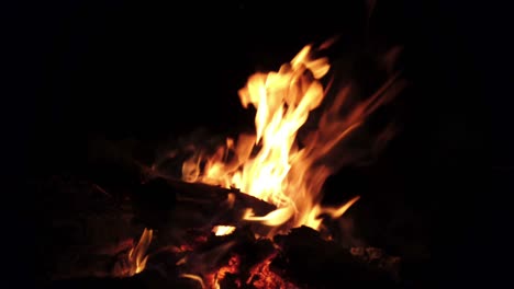 4k video defocus close up shot of flames burning firewood. bonfire in outdoors campfire on black background at night.