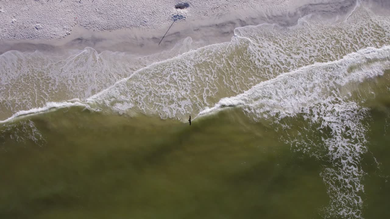 해변을 강타하는 걸프 파도와 물고기를 사냥하는 물수리의 공중 추상