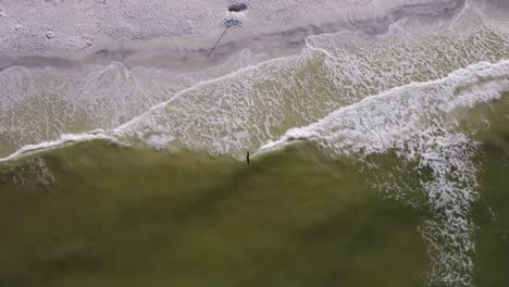 aerial abstract of gulf waves hitting a beach and an osprey hunting for fish