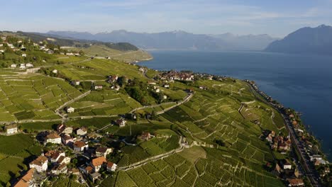 Hermoso-Paisaje-De-Verano-Del-Lago-De-Ginebra,-Terrazas-De-Viñedos-De-Lavaux-Y-Alpes,-Riviera-Suiza,-Suiza,-Europa---Toma-Aérea-De-Drones