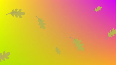 animation of leaves falling on yellow to pink background