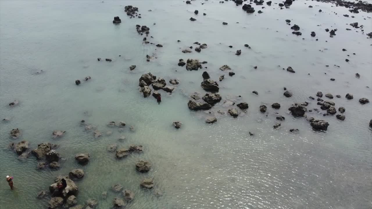 브라질 비파 해변의 공중 드론 샷