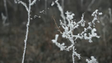 Gefrorenes,-Mit-Frost-Bedecktes-Gras-An-Einem-Kalten-Wintermorgen-In-Filmischer-Zeitlupe