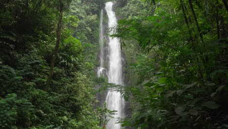 bali towering waterfall melanting munduk tropical forest lush green vegetation