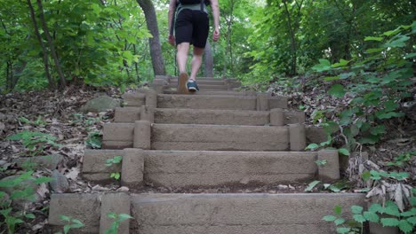 excursionista masculino subiendo las escaleras de madera en el bosque en verano