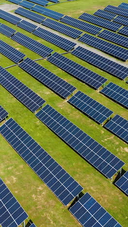 aerial view. top view on blue solar pannels. green energy. pannels in the field. vertical video