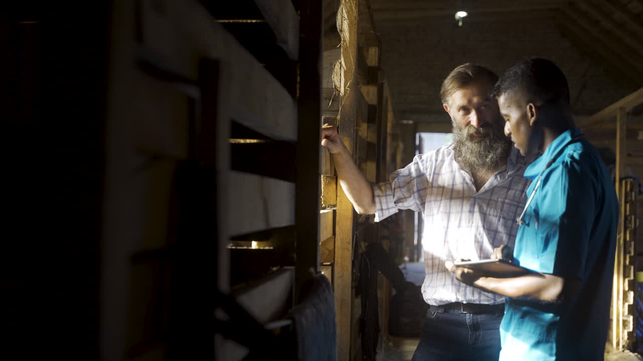 люди разговаривают в конюшнях.