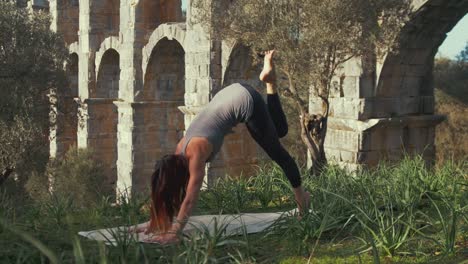 dolphin pose performed by female yoga instructor within wilderness