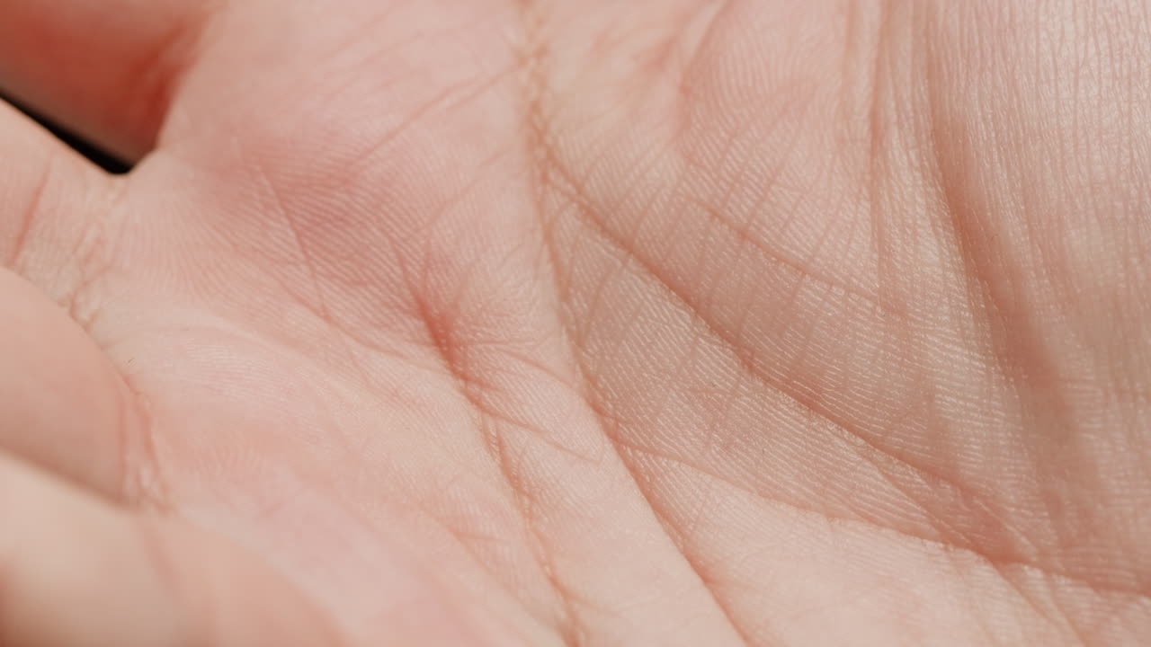 Close-up of a human hand palm