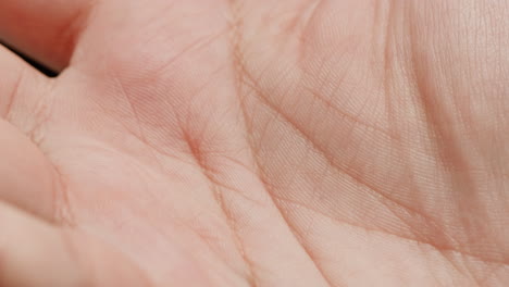 close-up of a human hand palm