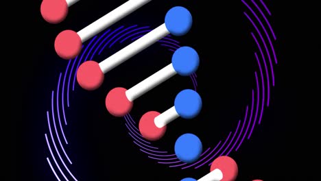 Digital-animation-of-dna-structure-spinning-and-light-trails-rotating-against-black-background