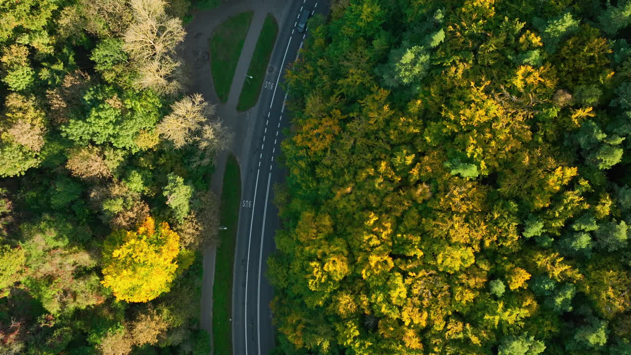 Top-down aerial shot of a car on a road curving through a dense autumn forest
