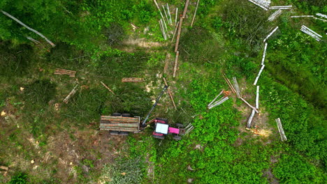 limpieza de troncos de árboles de madera desde el campo, vista aérea de arriba hacia abajo